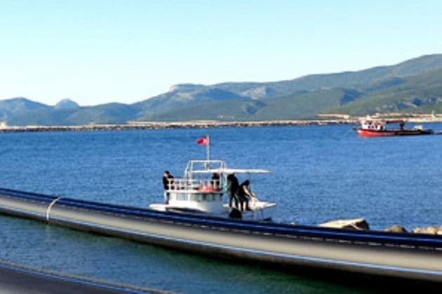 Firat - мировой рекордсмен у вас дома!